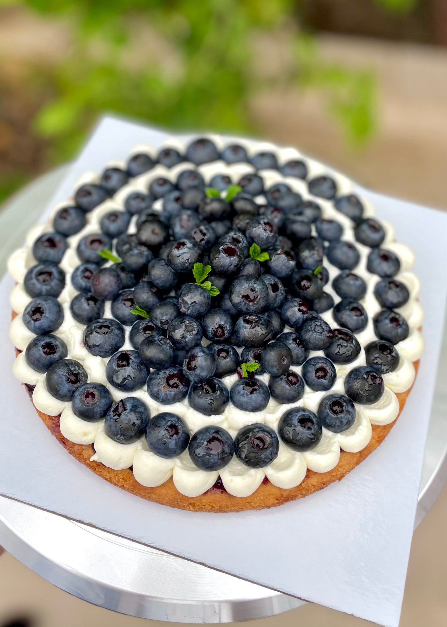 Blueberry Madness