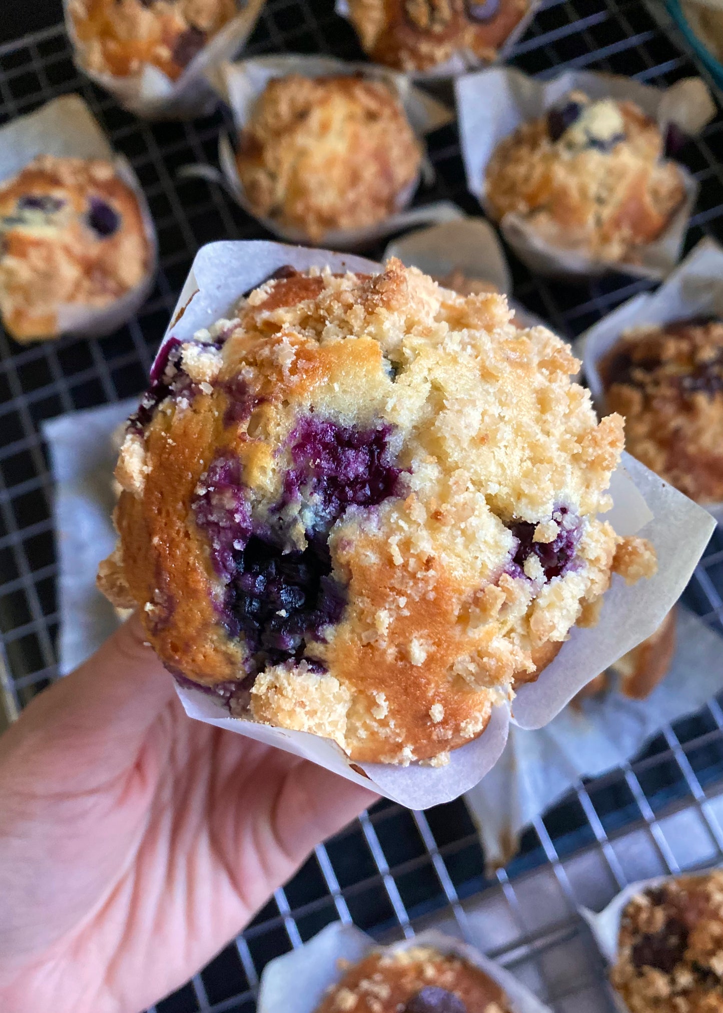BAKERY STYLE SEASONAL BERRY MUFFINS