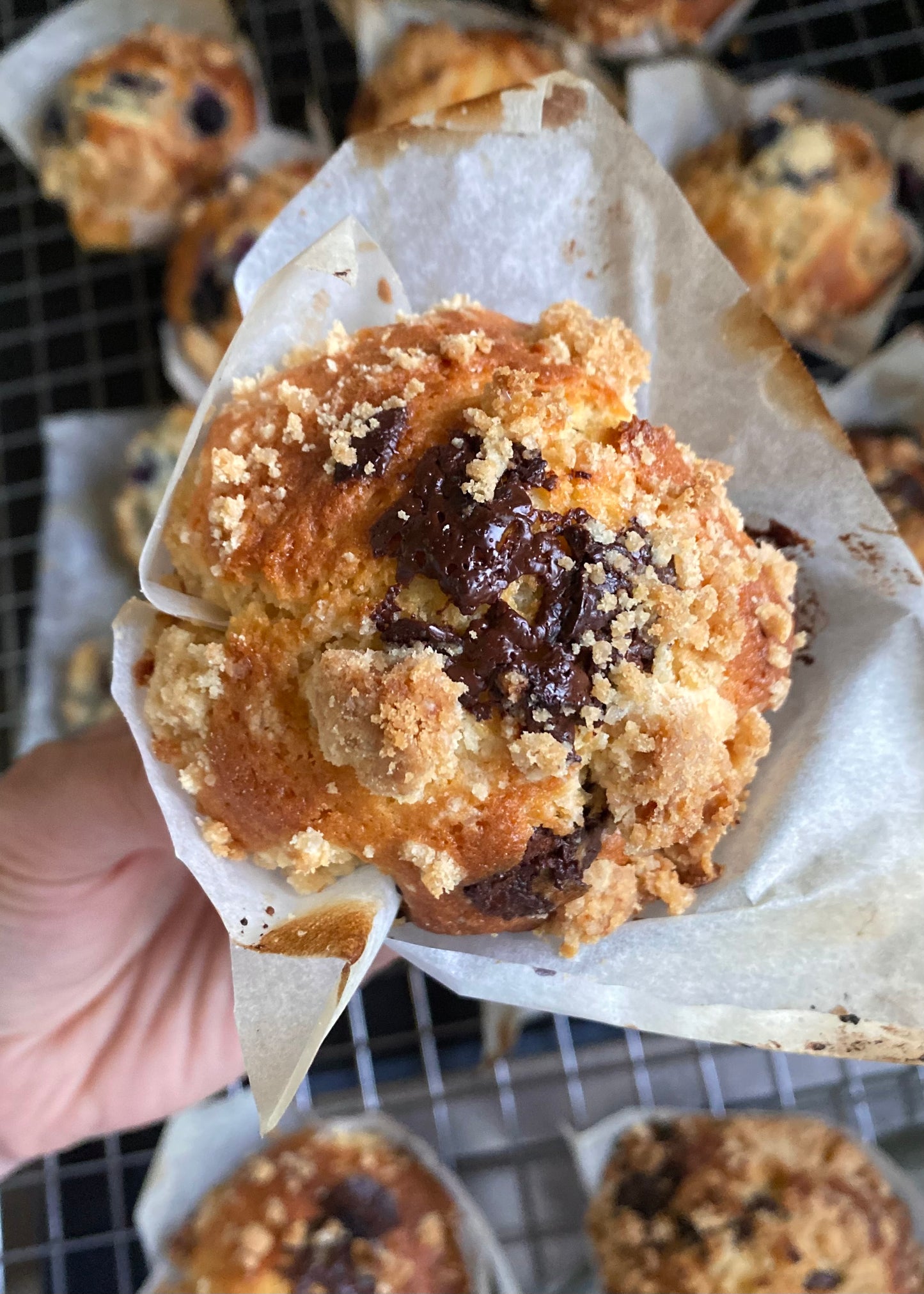 BAKERY STYLE CHOCOLATE MUFFINS