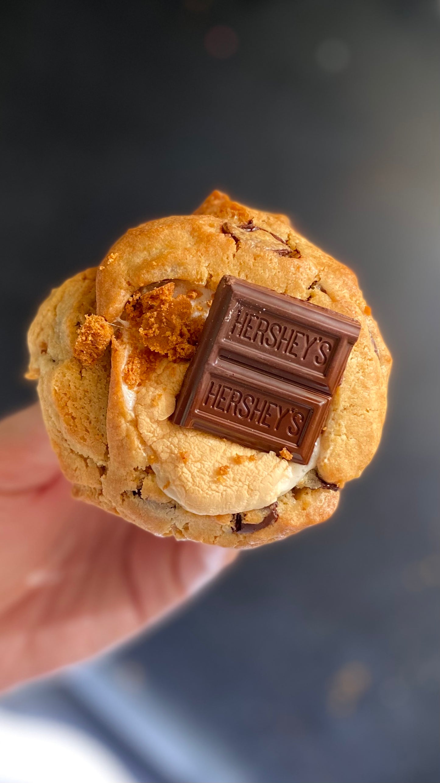 CTD COOKIES : Deluxe Box