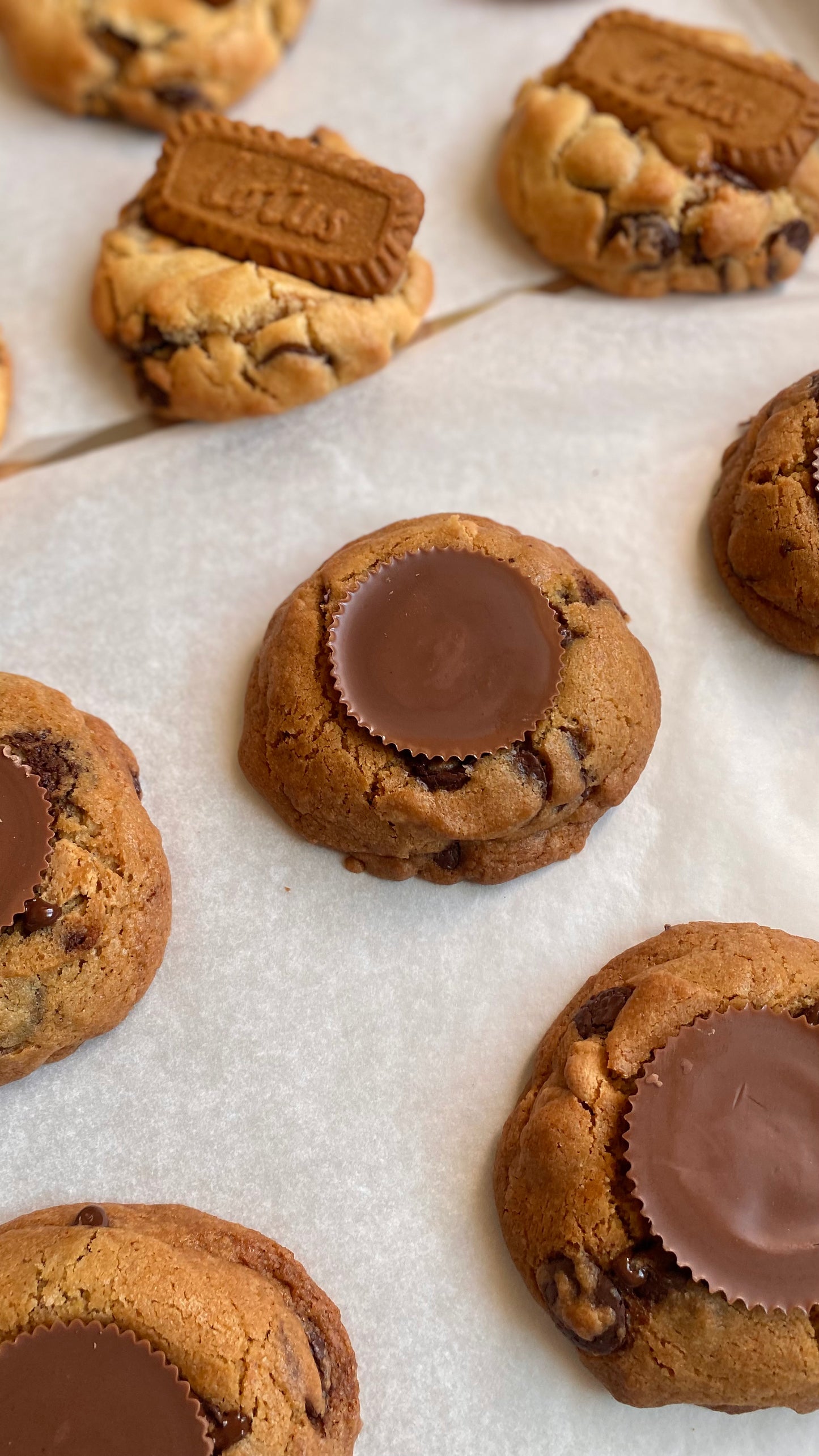 CTD COOKIES : Deluxe Box