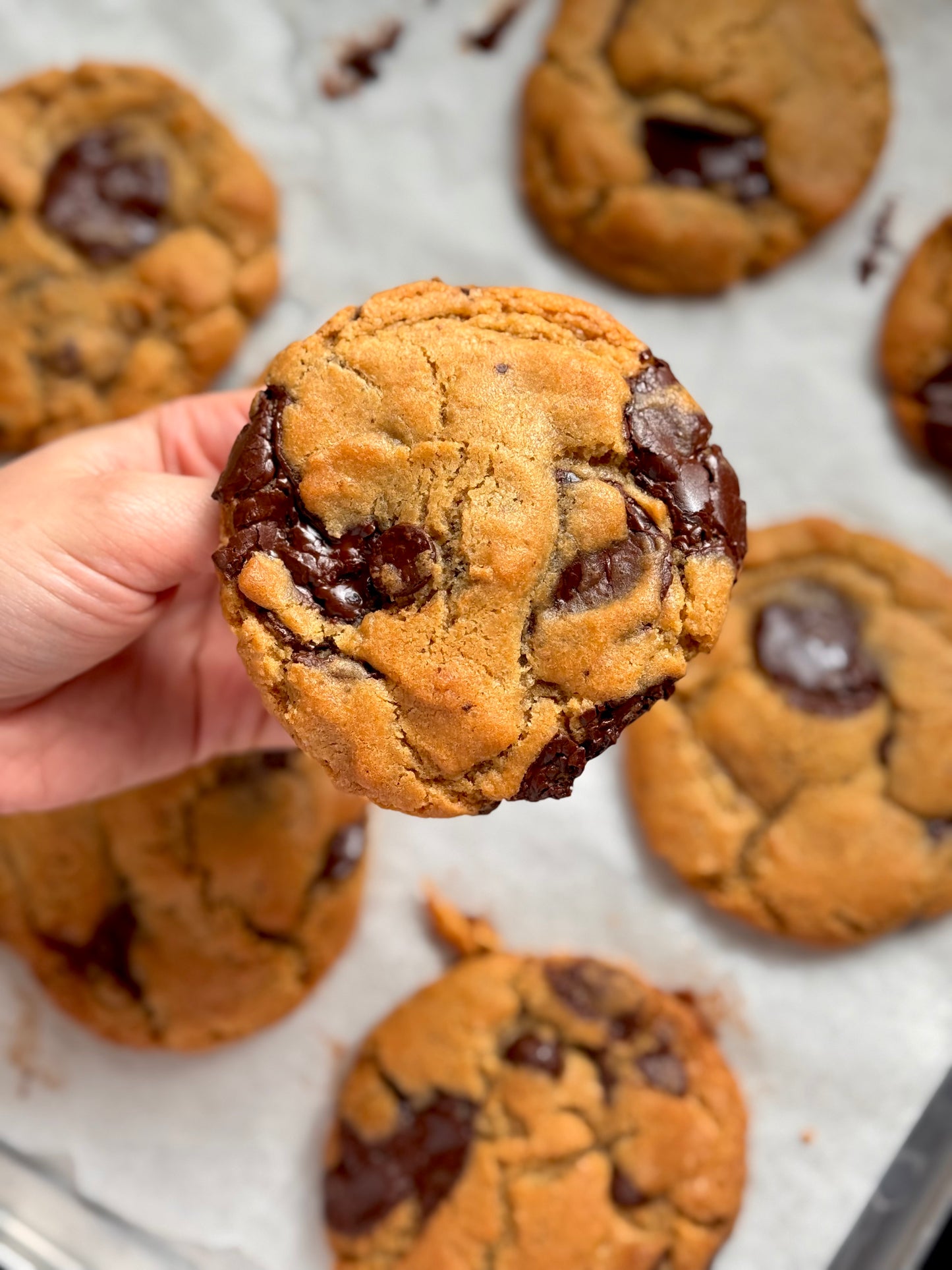 CCCC : Classic Chocolate Callet Cookie